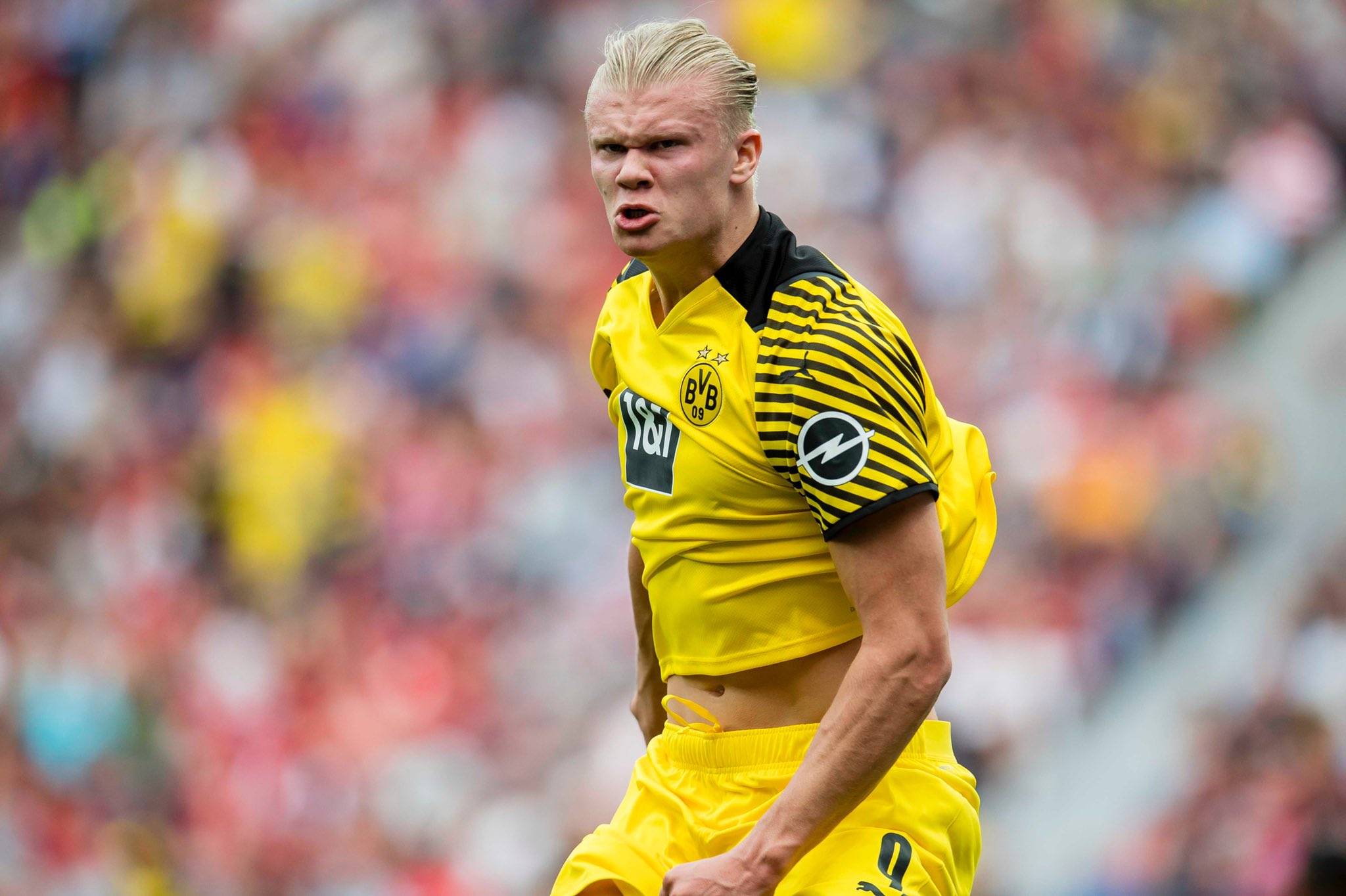 跟踪球队 跟踪球队