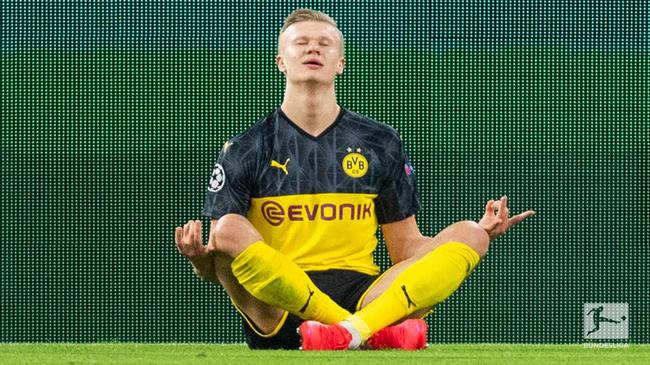 的集体亮相 的集体亮相